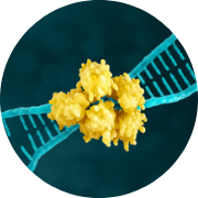 MSI gastric cancer biomarker
